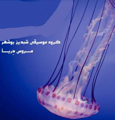 گروه شبدیز بوشهر الا ای عروس دریا